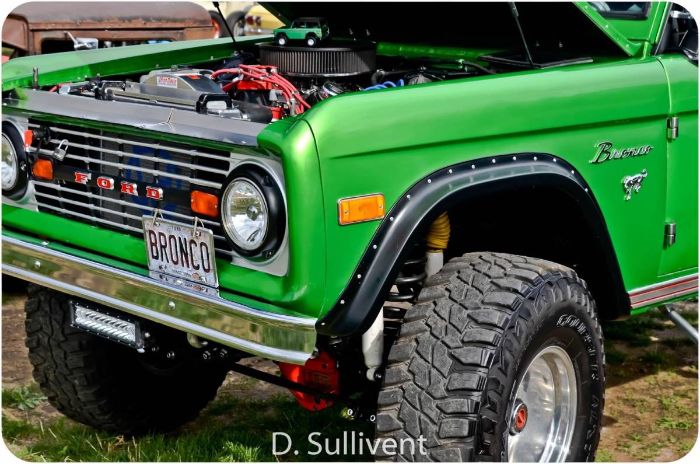 Ford-Bronco-1977-Green-14