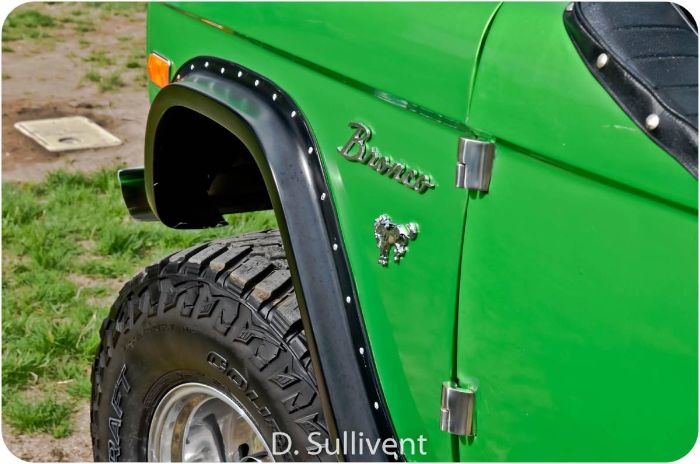 Ford-Bronco-1977-Green-15