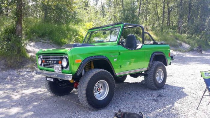 Ford-Bronco-1977-Green-3