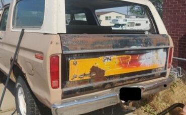 Ford-Bronco-1978-Beige-Beige
