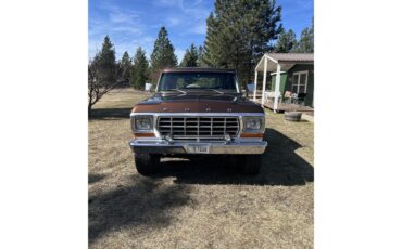 Ford-Bronco-1978-Brown-Brown-2