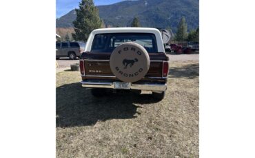 Ford-Bronco-1978-Brown-Brown-3