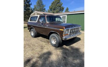 Ford-Bronco-1978-Brown-Brown