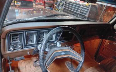 Ford-Bronco-1978-Brown-Brown-5