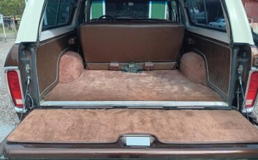 Ford-Bronco-1978-Brown-Brown-8