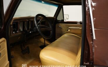 Ford-Bronco-1979-Brown-Beige-14