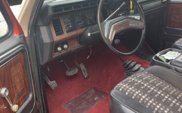 Ford-Bronco-1982-SUV-5