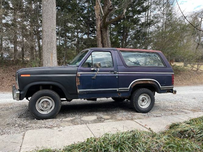Ford-Bronco-1983-Blue-17