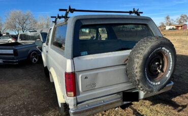Ford-Bronco-1984-1