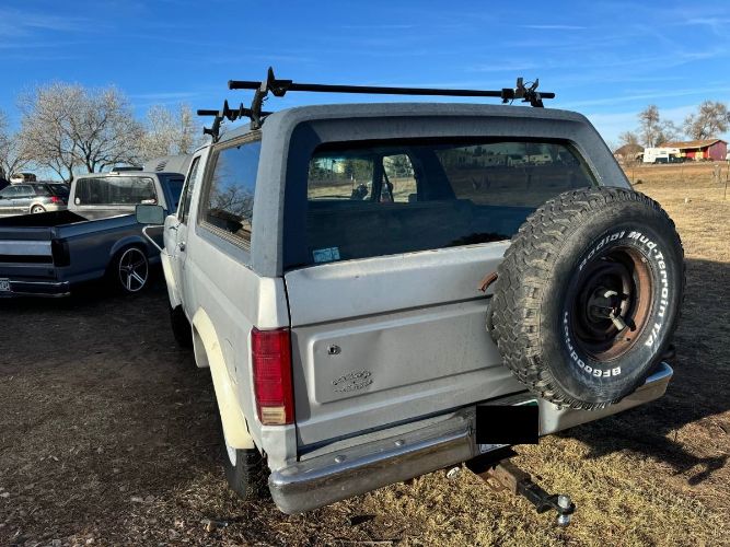 Ford-Bronco-1984-1
