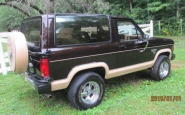 Ford-Bronco-1985-Walnut-Brown-Metalli-1