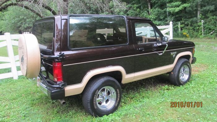 Ford-Bronco-1985-Walnut-Brown-Metalli-1
