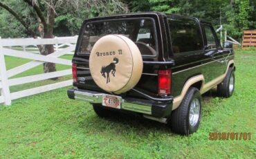 Ford-Bronco-1985-Walnut-Brown-Metalli-2