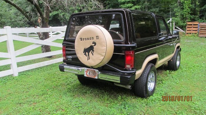 Ford-Bronco-1985-Walnut-Brown-Metalli-2