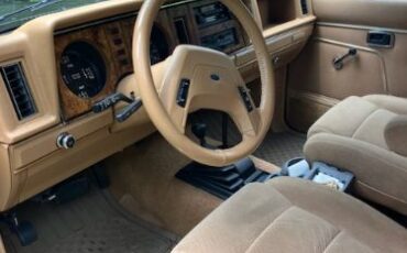 Ford-Bronco-1985-Walnut-Brown-Metalli-4