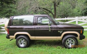 Ford-Bronco-1985-Walnut-Brown-Metalli-6