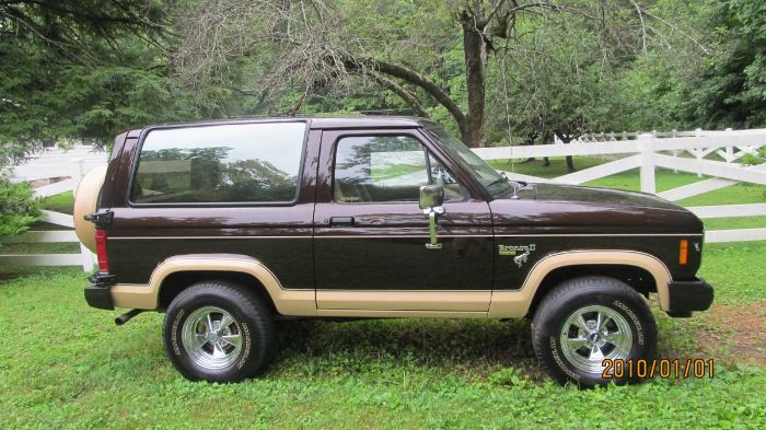 Ford-Bronco-1985-Walnut-Brown-Metalli-6