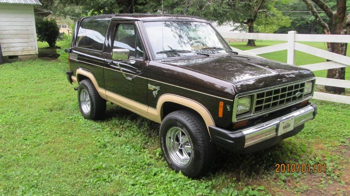 Ford-Bronco-1985-Walnut-Brown-Metalli-7