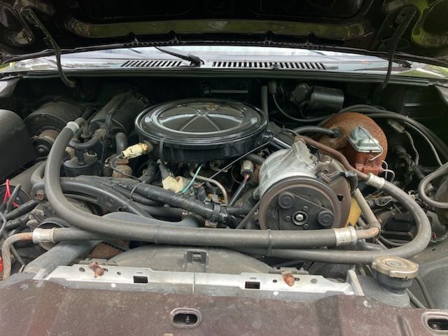Ford-Bronco-1985-Walnut-Brown-Metalli-9