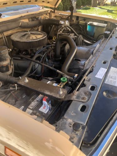 Ford-Bronco-1986-11