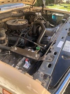 Ford-Bronco-1986-13