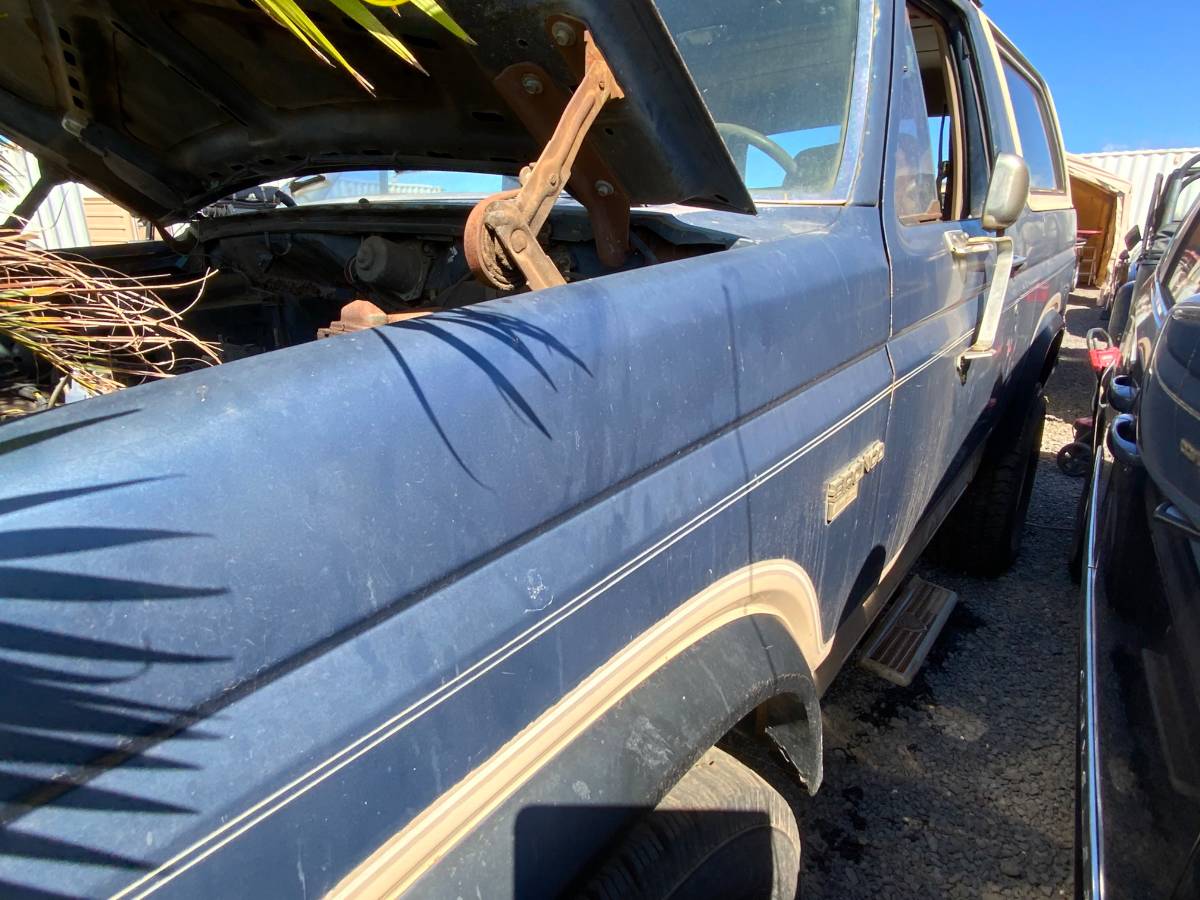 Ford-Bronco-1986-blue-5