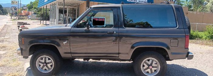 Ford-Bronco-1987-Silver-1