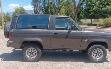 Ford-Bronco-1987-Silver-3