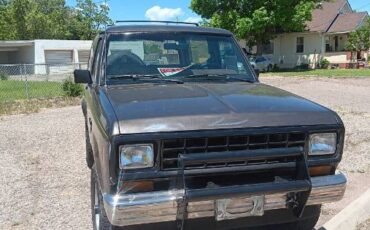 Ford-Bronco-1987-Silver