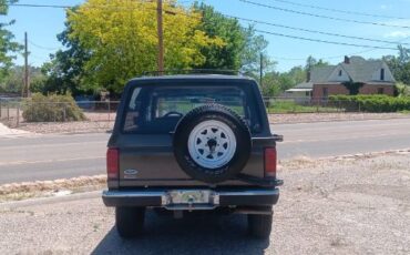 Ford-Bronco-1987-Silver-4