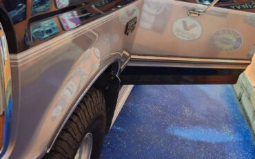 Ford-Bronco-1994-Blue-Gray-Leather-14