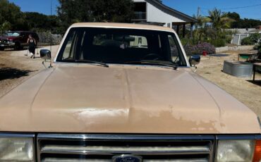 Ford-Bronco-4x4-1990-brown-3