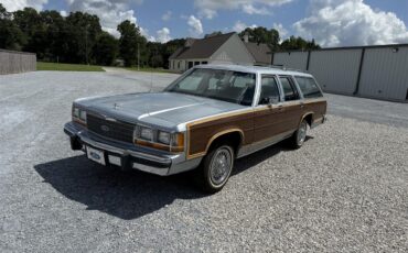 Ford-Country-squire-1990-Blue-Blue-19