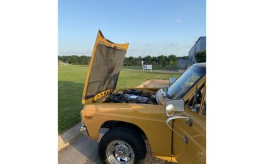 Ford-Courier-1975-Rare-Yellow-Black-16