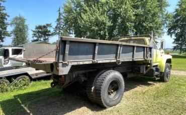 Ford-Dump-truck-diesel-1989-3