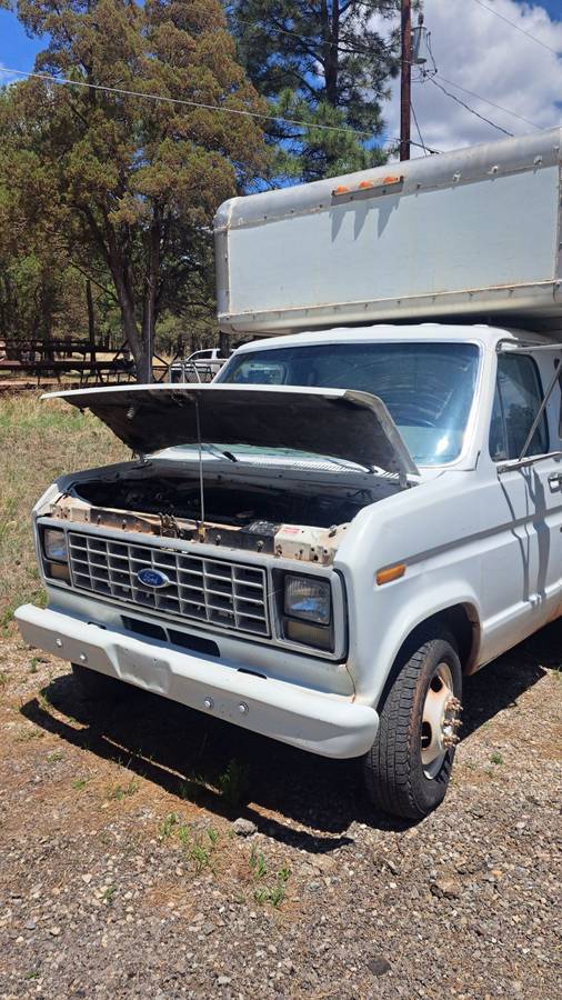 Ford-E350-diesel-1990-white-3