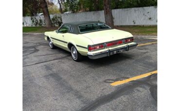 Ford-Elite-1974-Yellow-and-Green-Green-1
