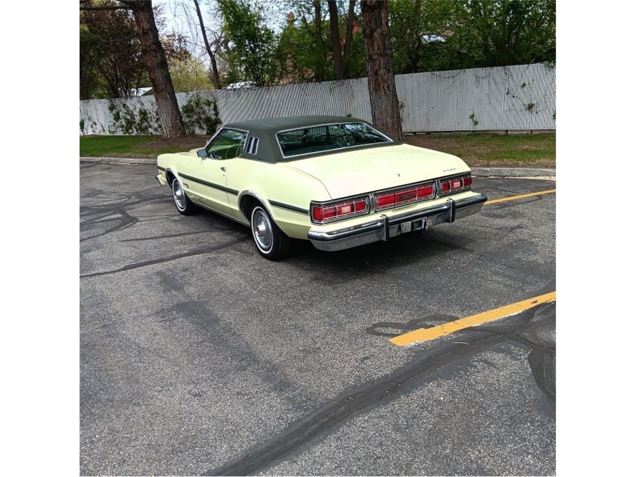 Ford-Elite-1974-Yellow-and-Green-Green-1