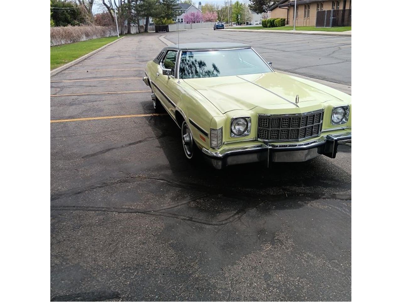 Ford-Elite-1974-Yellow-and-Green-Green-6