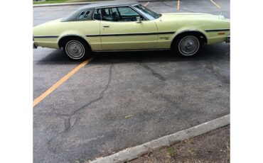 Ford-Elite-1974-Yellow-and-Green-Green-7