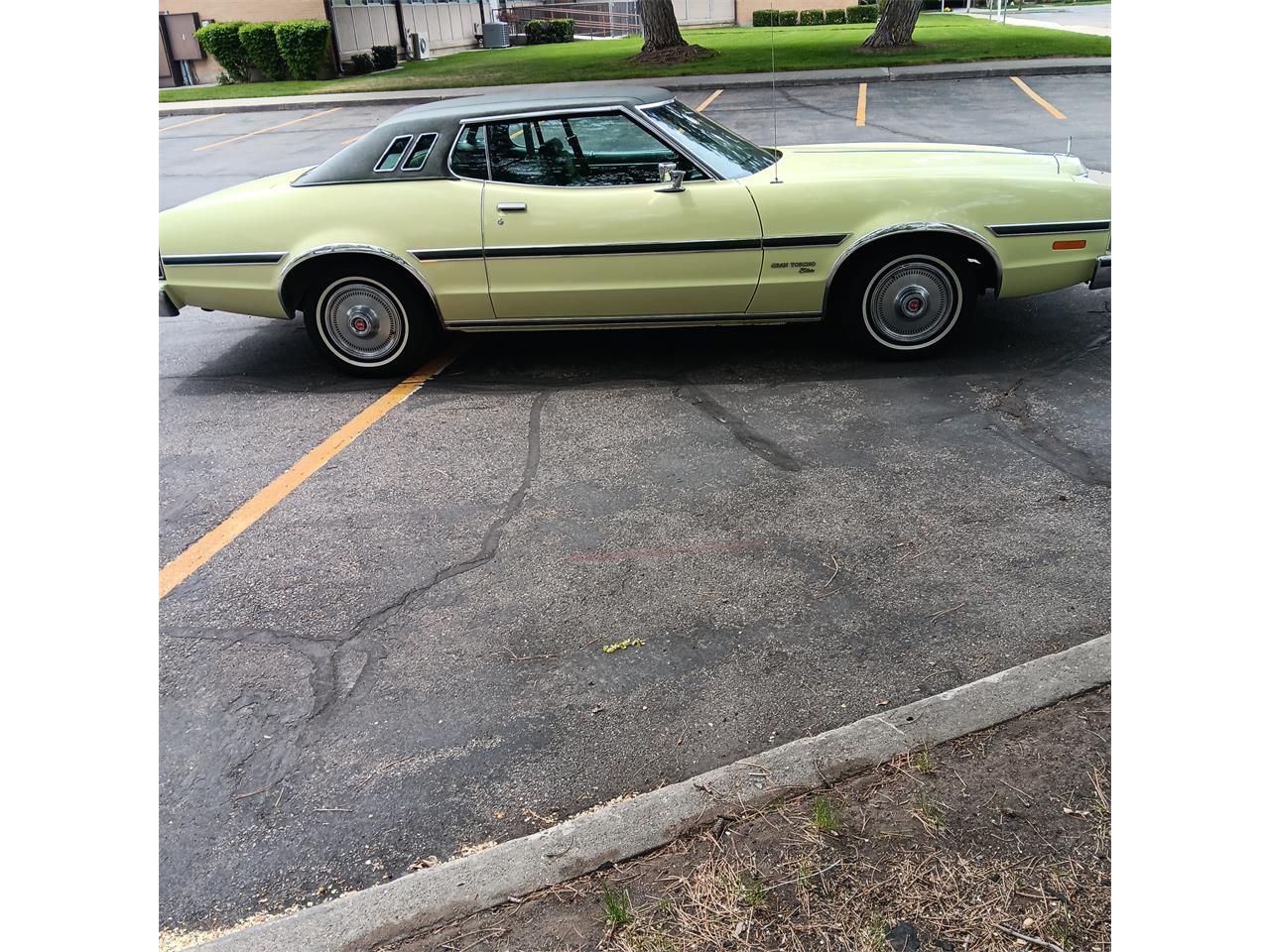 Ford-Elite-1974-Yellow-and-Green-Green-7