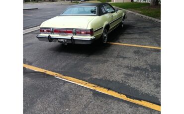 Ford-Elite-1974-Yellow-and-Green-Green-8