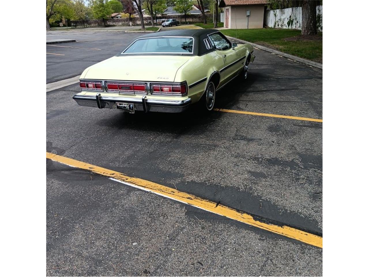 Ford-Elite-1974-Yellow-and-Green-Green-8