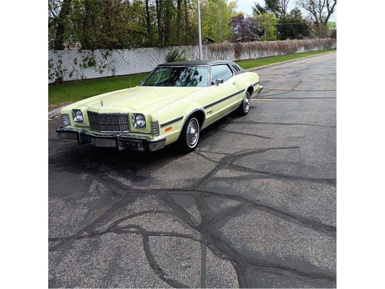 Ford-Elite-1974-Yellow-and-Green-Green-9