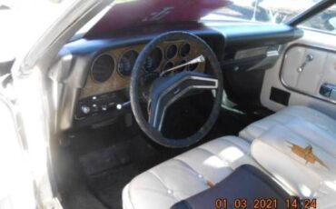 Ford-Elite-1975-White-1