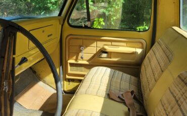 Ford-F-100-1975-10
