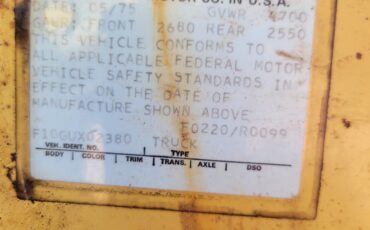 Ford-F-100-1975-15