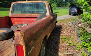 Ford-F-100-1975-3