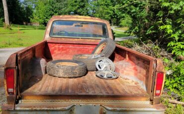Ford-F-100-1975-4