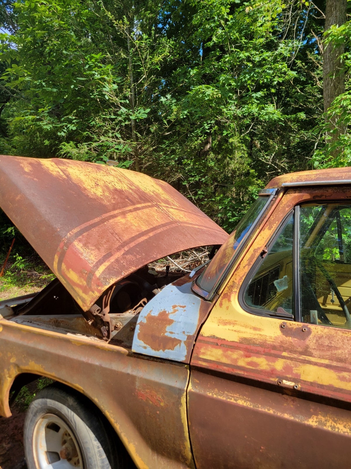 Ford-F-100-1975-6